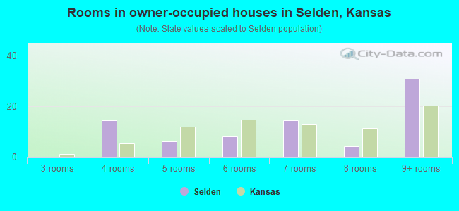 Rooms in owner-occupied houses in Selden, Kansas