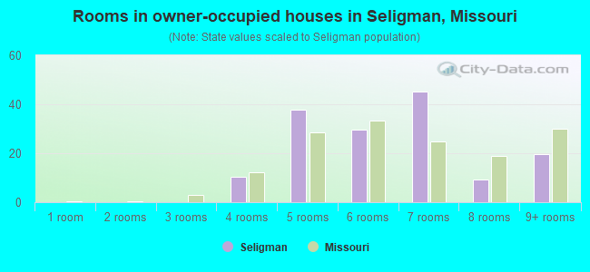 Rooms in owner-occupied houses in Seligman, Missouri
