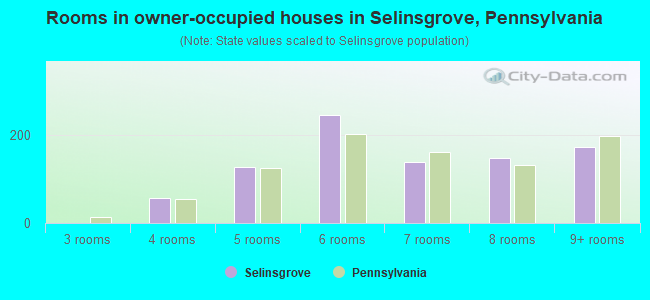 Rooms in owner-occupied houses in Selinsgrove, Pennsylvania