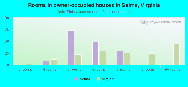 Rooms in owner-occupied houses in Selma, Virginia