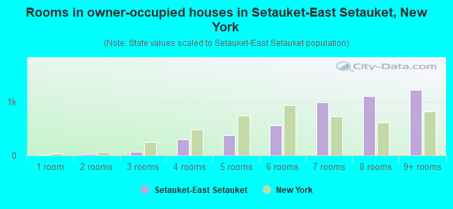 Rooms in owner-occupied houses in Setauket-East Setauket, New York