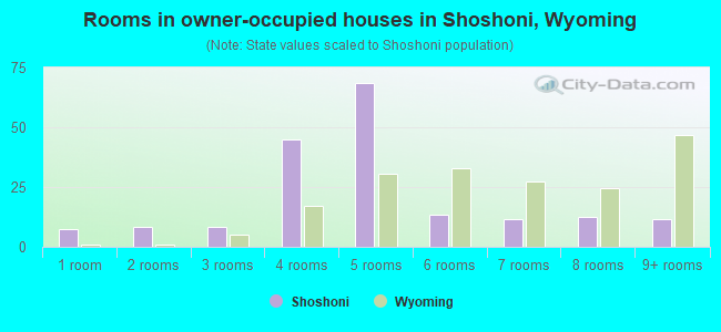 Rooms in owner-occupied houses in Shoshoni, Wyoming