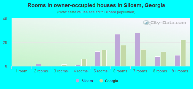 Rooms in owner-occupied houses in Siloam, Georgia