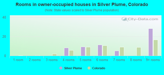 Rooms in owner-occupied houses in Silver Plume, Colorado