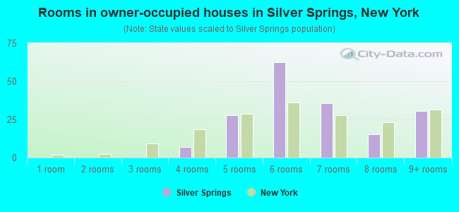 Rooms in owner-occupied houses in Silver Springs, New York