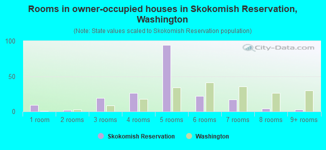 Rooms in owner-occupied houses in Skokomish Reservation, Washington