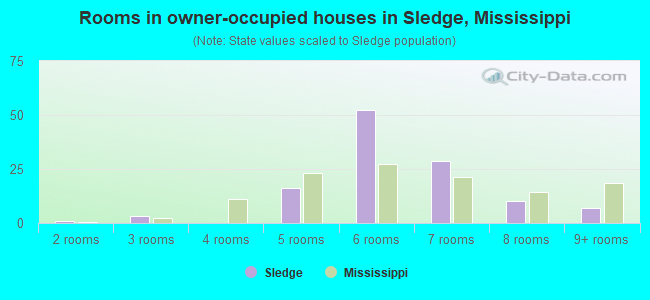 Rooms in owner-occupied houses in Sledge, Mississippi