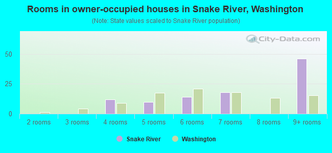 Rooms in owner-occupied houses in Snake River, Washington