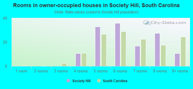 Rooms in owner-occupied houses in Society Hill, South Carolina
