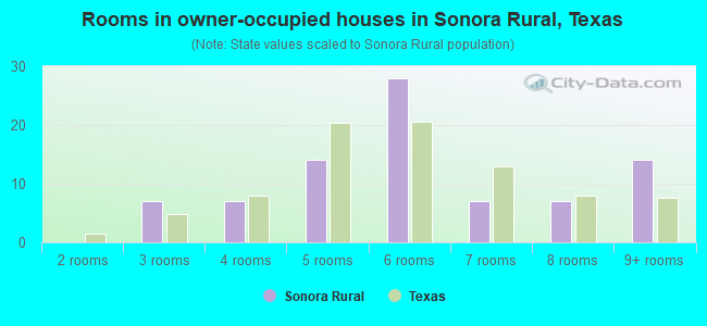 Rooms in owner-occupied houses in Sonora Rural, Texas