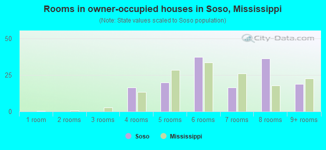 Rooms in owner-occupied houses in Soso, Mississippi