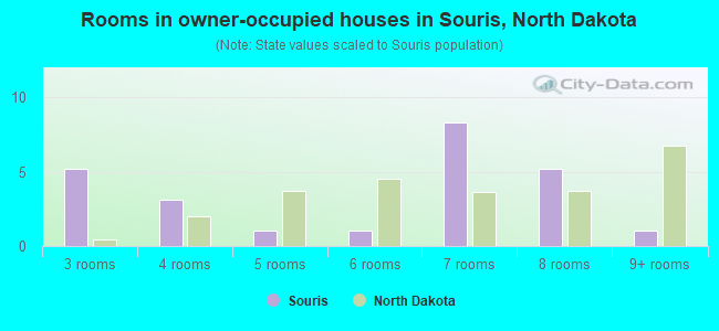 Rooms in owner-occupied houses in Souris, North Dakota