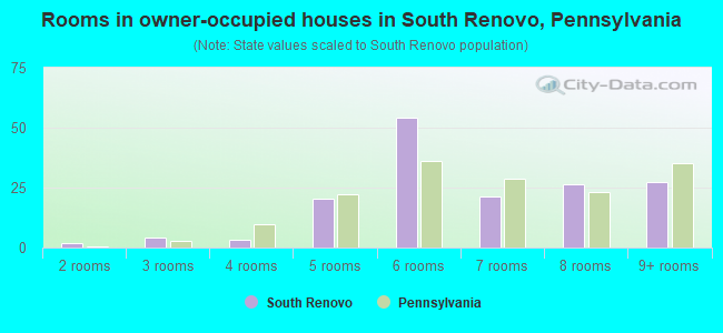 Rooms in owner-occupied houses in South Renovo, Pennsylvania
