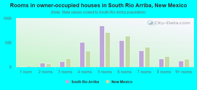 Rooms in owner-occupied houses in South Rio Arriba, New Mexico