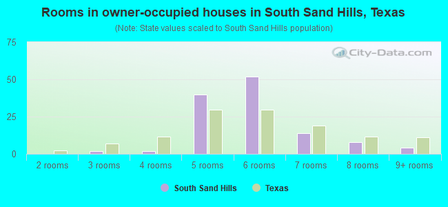 Rooms in owner-occupied houses in South Sand Hills, Texas