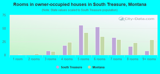 Rooms in owner-occupied houses in South Treasure, Montana