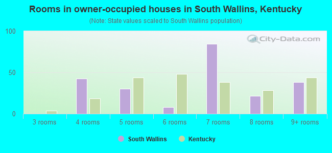 Rooms in owner-occupied houses in South Wallins, Kentucky