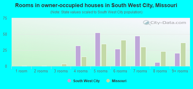 Rooms in owner-occupied houses in South West City, Missouri