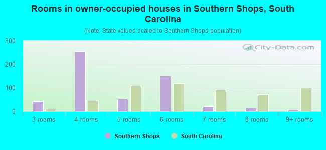 Rooms in owner-occupied houses in Southern Shops, South Carolina