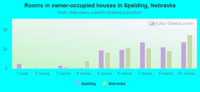 Rooms in owner-occupied houses in Spalding, Nebraska
