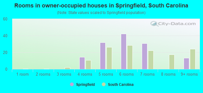 Rooms in owner-occupied houses in Springfield, South Carolina