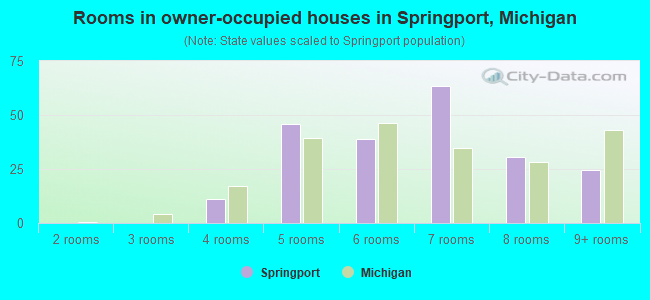Rooms in owner-occupied houses in Springport, Michigan