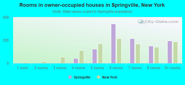 Rooms in owner-occupied houses in Springville, New York