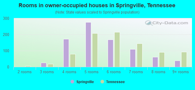 Rooms in owner-occupied houses in Springville, Tennessee