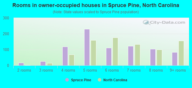 Rooms in owner-occupied houses in Spruce Pine, North Carolina