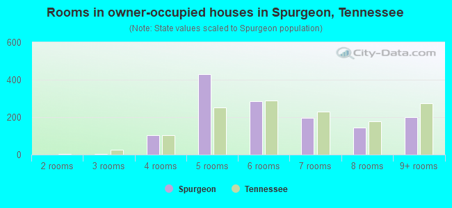 Rooms in owner-occupied houses in Spurgeon, Tennessee