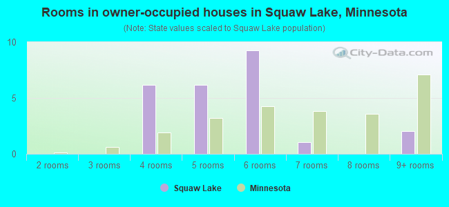 Rooms in owner-occupied houses in Squaw Lake, Minnesota