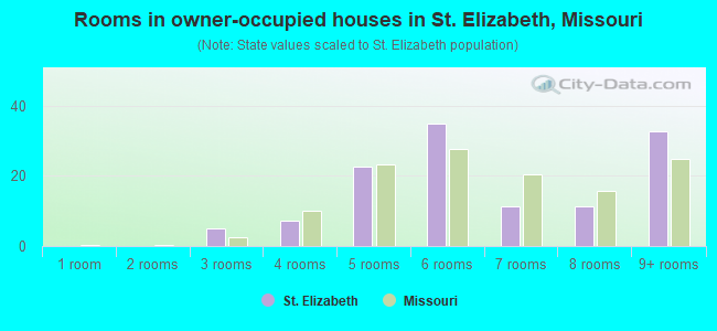 Rooms in owner-occupied houses in St. Elizabeth, Missouri