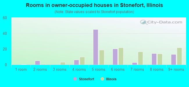 Rooms in owner-occupied houses in Stonefort, Illinois