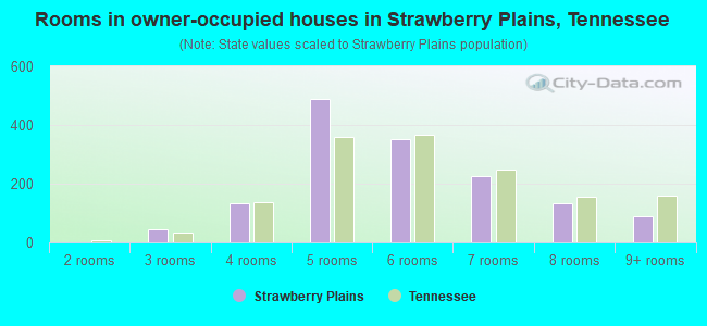 Rooms in owner-occupied houses in Strawberry Plains, Tennessee