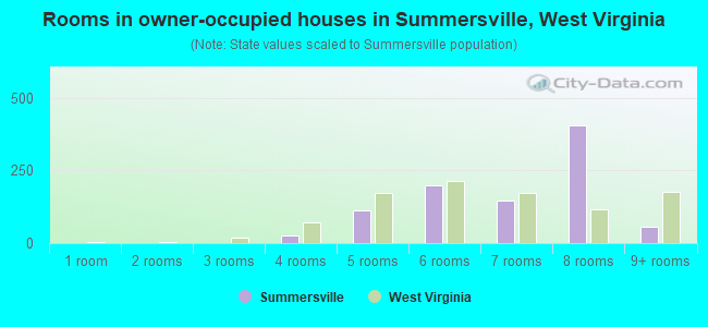 Rooms in owner-occupied houses in Summersville, West Virginia