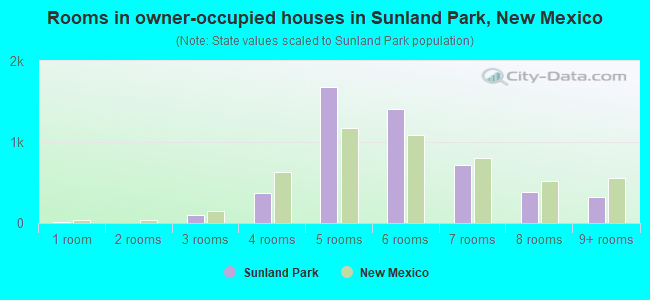 Rooms in owner-occupied houses in Sunland Park, New Mexico