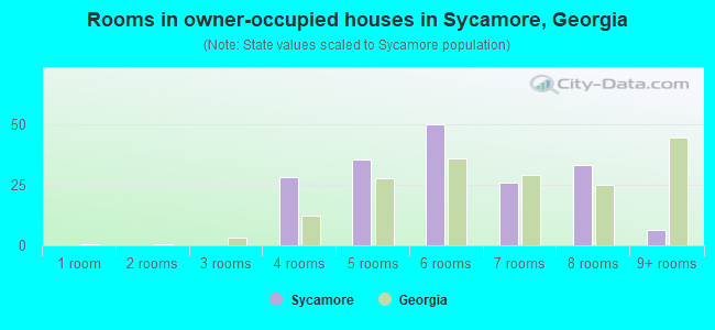 Rooms in owner-occupied houses in Sycamore, Georgia