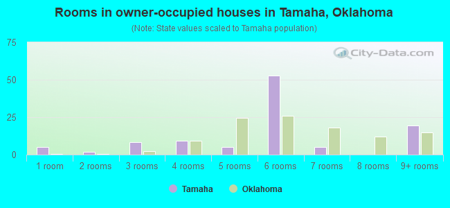 Rooms in owner-occupied houses in Tamaha, Oklahoma