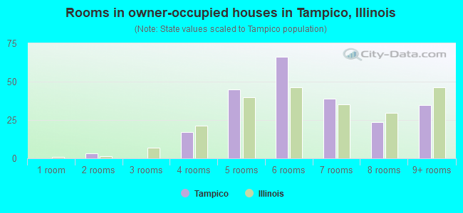 Rooms in owner-occupied houses in Tampico, Illinois