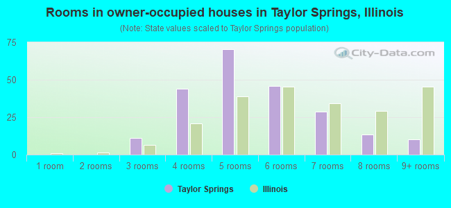 Rooms in owner-occupied houses in Taylor Springs, Illinois