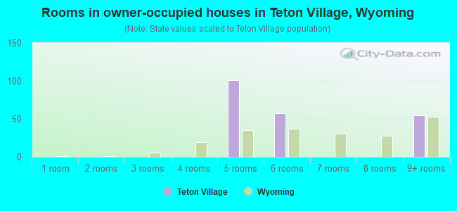Rooms in owner-occupied houses in Teton Village, Wyoming