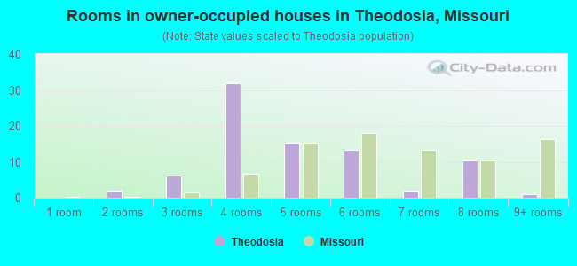 Rooms in owner-occupied houses in Theodosia, Missouri