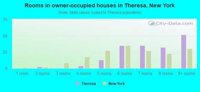 Rooms in owner-occupied houses in Theresa, New York