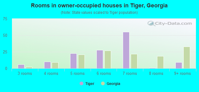 Rooms in owner-occupied houses in Tiger, Georgia