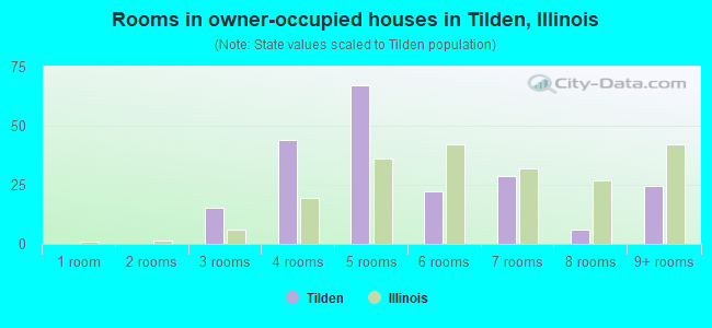 Rooms in owner-occupied houses in Tilden, Illinois