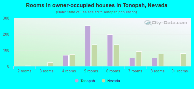 Rooms in owner-occupied houses in Tonopah, Nevada