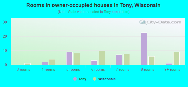 Rooms in owner-occupied houses in Tony, Wisconsin