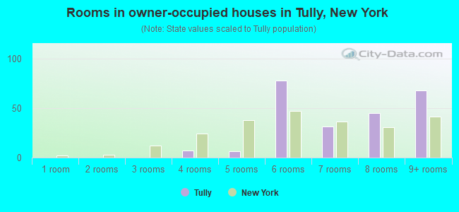 Rooms in owner-occupied houses in Tully, New York