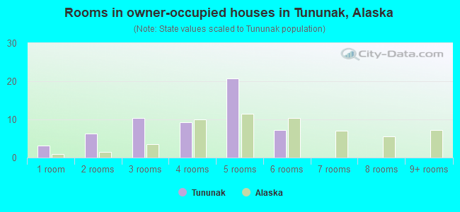 Rooms in owner-occupied houses in Tununak, Alaska