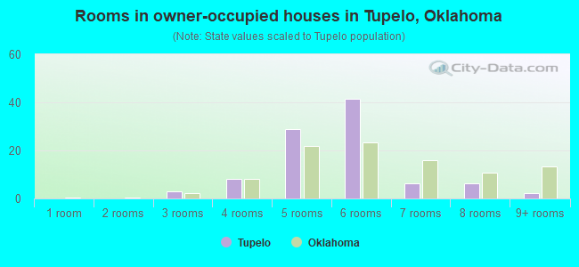 Rooms in owner-occupied houses in Tupelo, Oklahoma